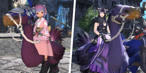 Unveiling the Mysteries of the Magic Broom in FFXIV